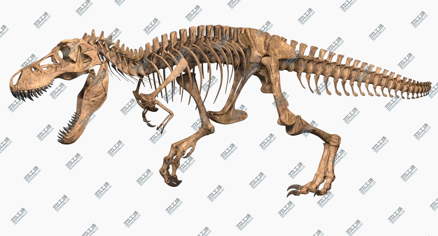 images/goods_img/202104091/3D Tyrannosaurus Rex Skeleton/3.jpg